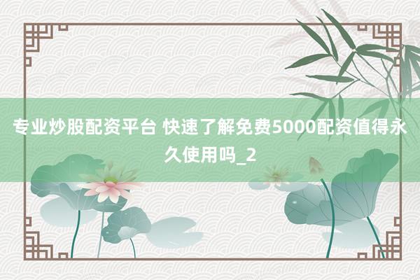 专业炒股配资平台 快速了解免费5000配资值得永久使用吗_2