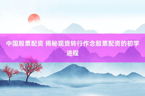 中国股票配资 揭秘现货转行作念股票配资的初学进程