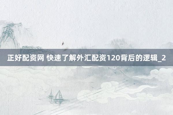 正好配资网 快速了解外汇配资120背后的逻辑_2