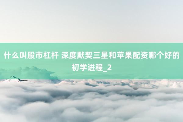 什么叫股市杠杆 深度默契三星和苹果配资哪个好的初学进程_2
