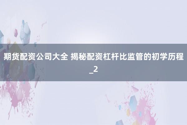 期货配资公司大全 揭秘配资杠杆比监管的初学历程_2