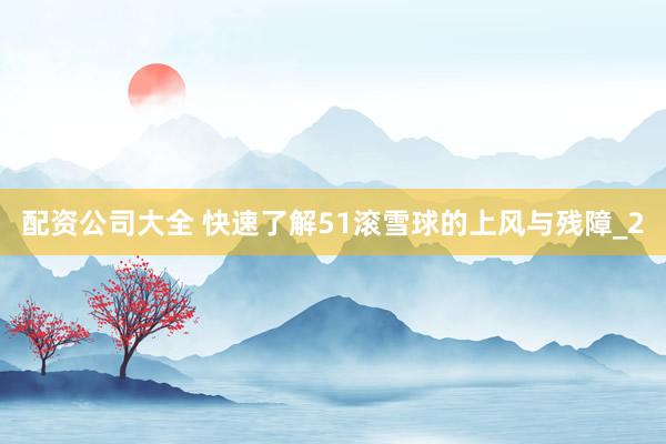 配资公司大全 快速了解51滚雪球的上风与残障_2